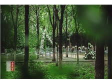 喜庆堂专业经营草坪婚礼策划、北京婚礼策划等产品及服务